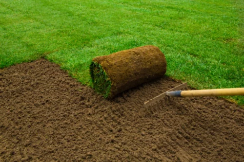 clean and green lawn installation and premium sod service